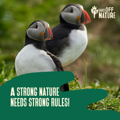 Bird image with text: strong nature needs strong rules!