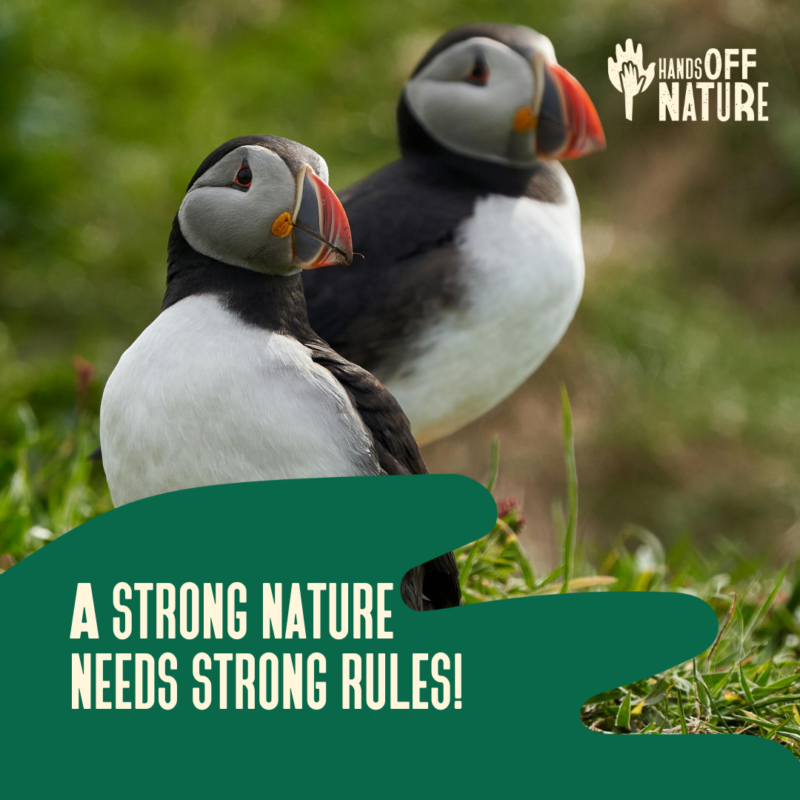 Bird image with text: strong nature needs strong rules!